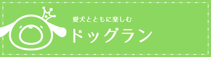 いちご狩り こまざわフルーツファーム