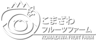 いちご狩り こまざわフルーツファーム