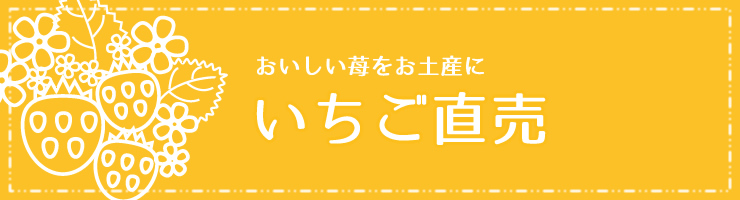 いちご直売 朝採りいちご配送 いちご狩り こまざわフルーツファーム