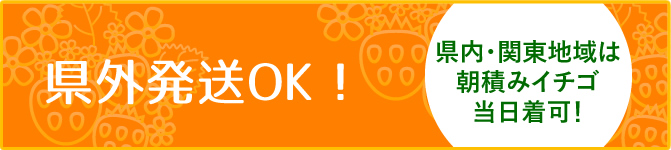 朝採りいちご配送 お問い合わせはこちら こまざわフルーツファーム
